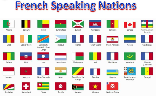 What Countries Have French As Their Main Language