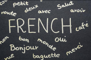 Brief History Of Origin And Evolution Of The French Language