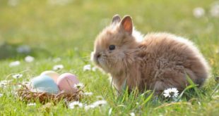 easter in france facts