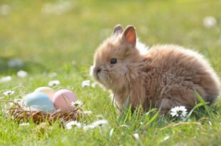 easter in france facts