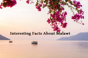 Interesting Facts About Malawi