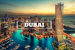 fun facts about dubai