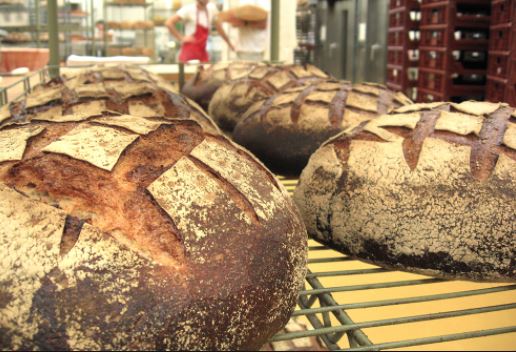 Les miches or Sourdough French Bread