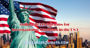 Online MBA Programs for International Students in the USA