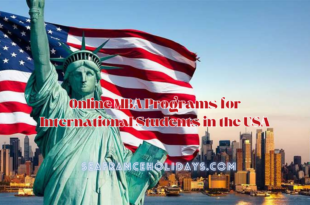 Online MBA Programs for International Students in the USA