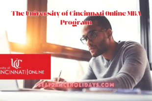 The University of Cincinnati Online MBA Program