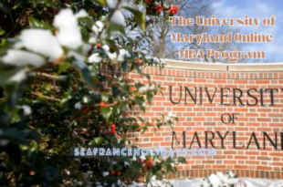 The University of Maryland Online MBA Program