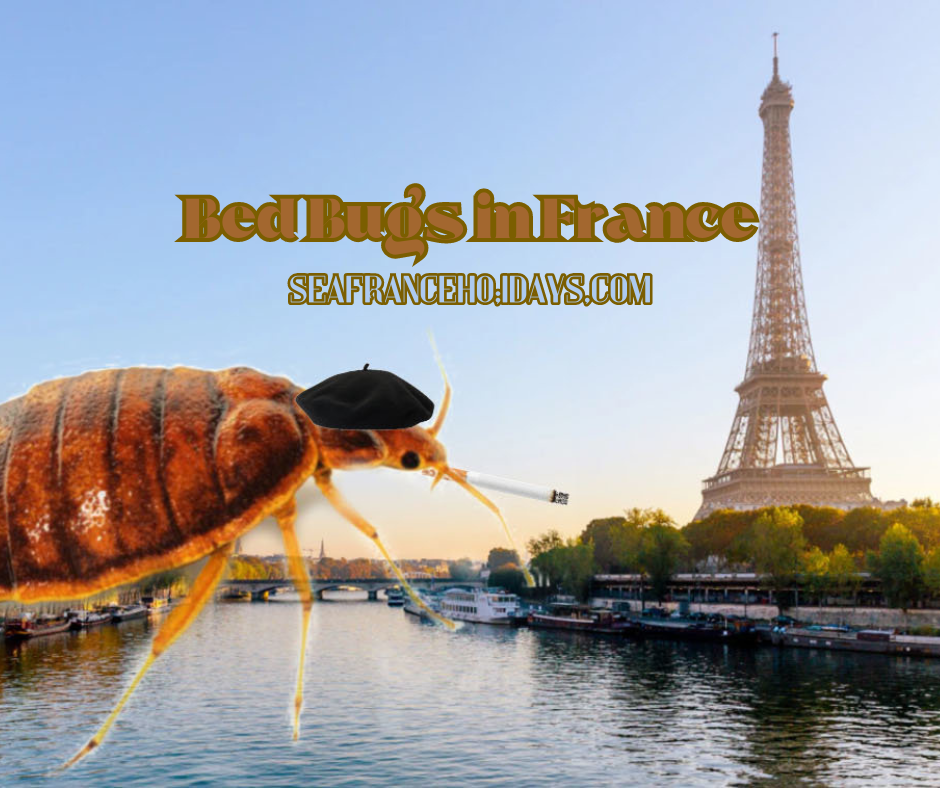 Bed Bugs in France