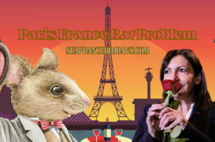 Paris France Rat Problem