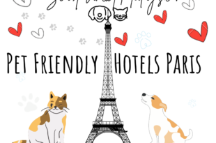 Pet Friendly Hotels Paris