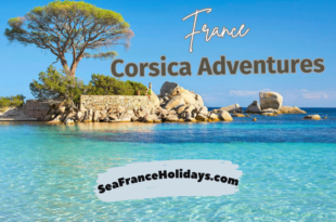 love holidays corsica travelling in corsica holidays in calvi corsica san ciprianu beach corsica corsica adventures northern corsica holidays to calvi corsica corsica holidays first choice corsica beach holidays corsica france vacation