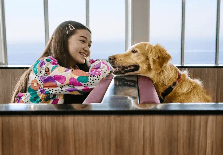 Ferry vs. Eurotunnel for Dog Owners